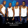 Hot and Wet (Remix - feat. Ludacris and Chingy) Ringtone
