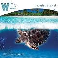 Turtle Island Ringtone